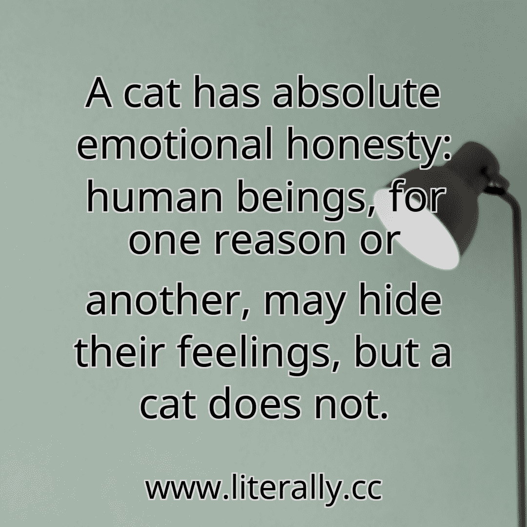 A cat has absolute emotional honesty: human beings, for one reason or another, may hide their feelings, but a cat does not.
