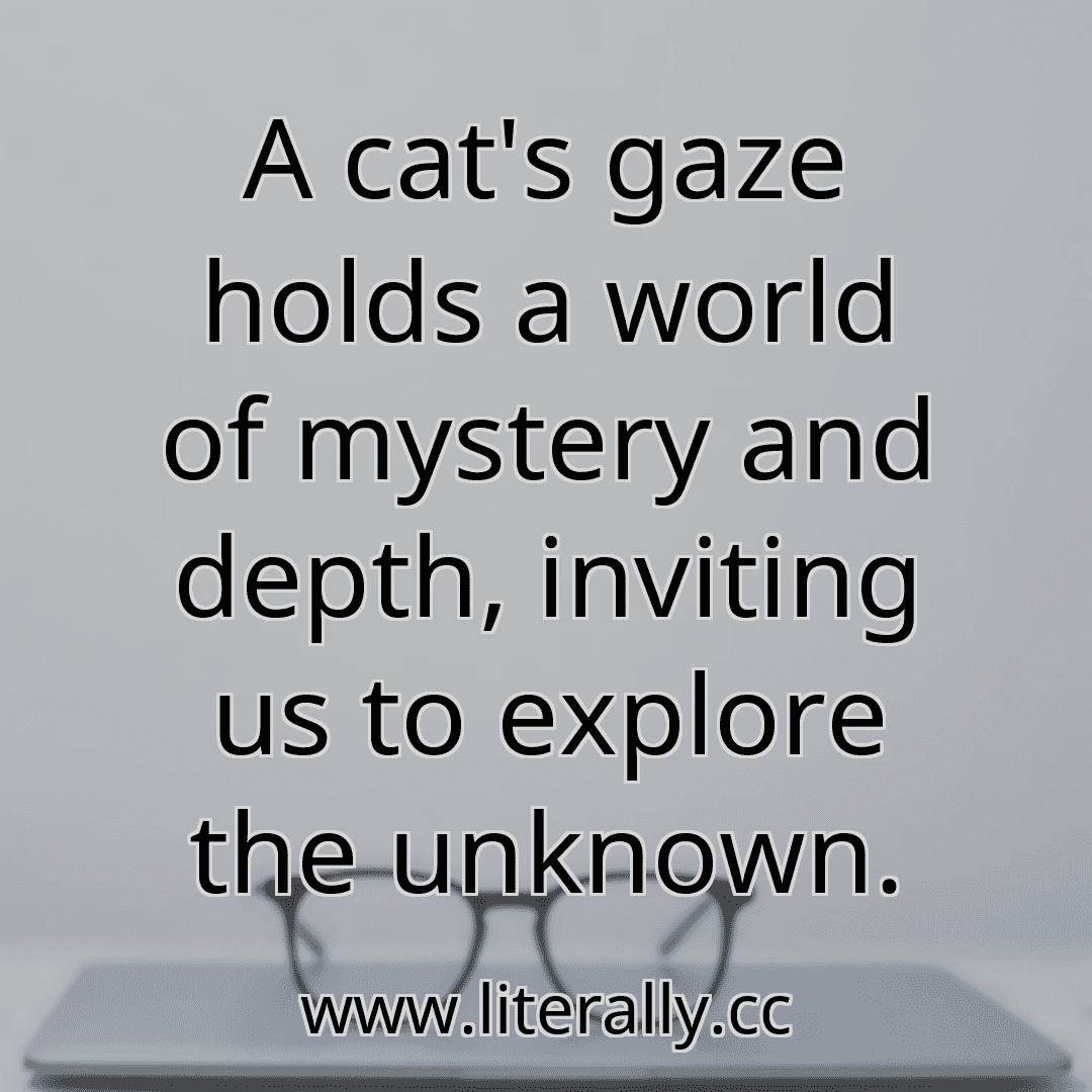 A cat's gaze holds a world of mystery and depth, inviting us to explore the unknown.
