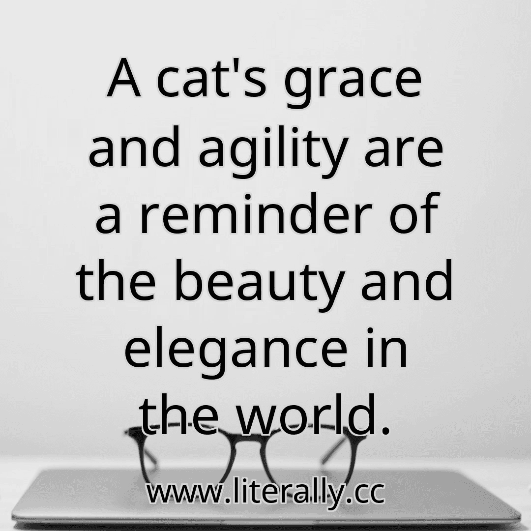A cat's grace and agility are a reminder of the beauty and elegance in the world.
