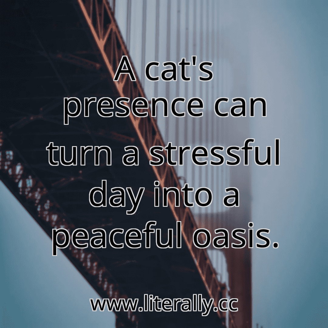 A cat's presence can turn a stressful day into a peaceful oasis.
