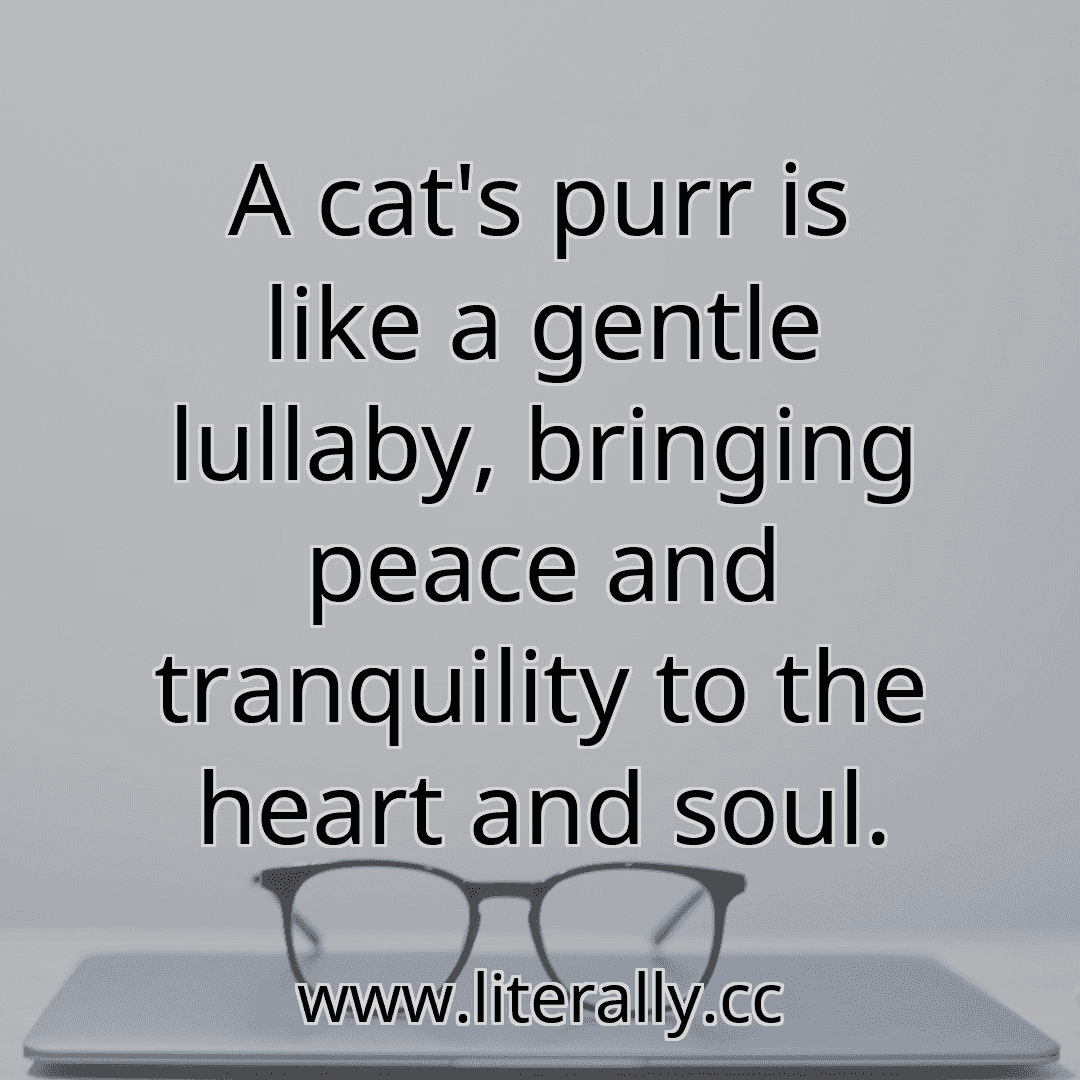 A cat's purr is like a gentle lullaby, bringing peace and tranquility to the heart and soul.
