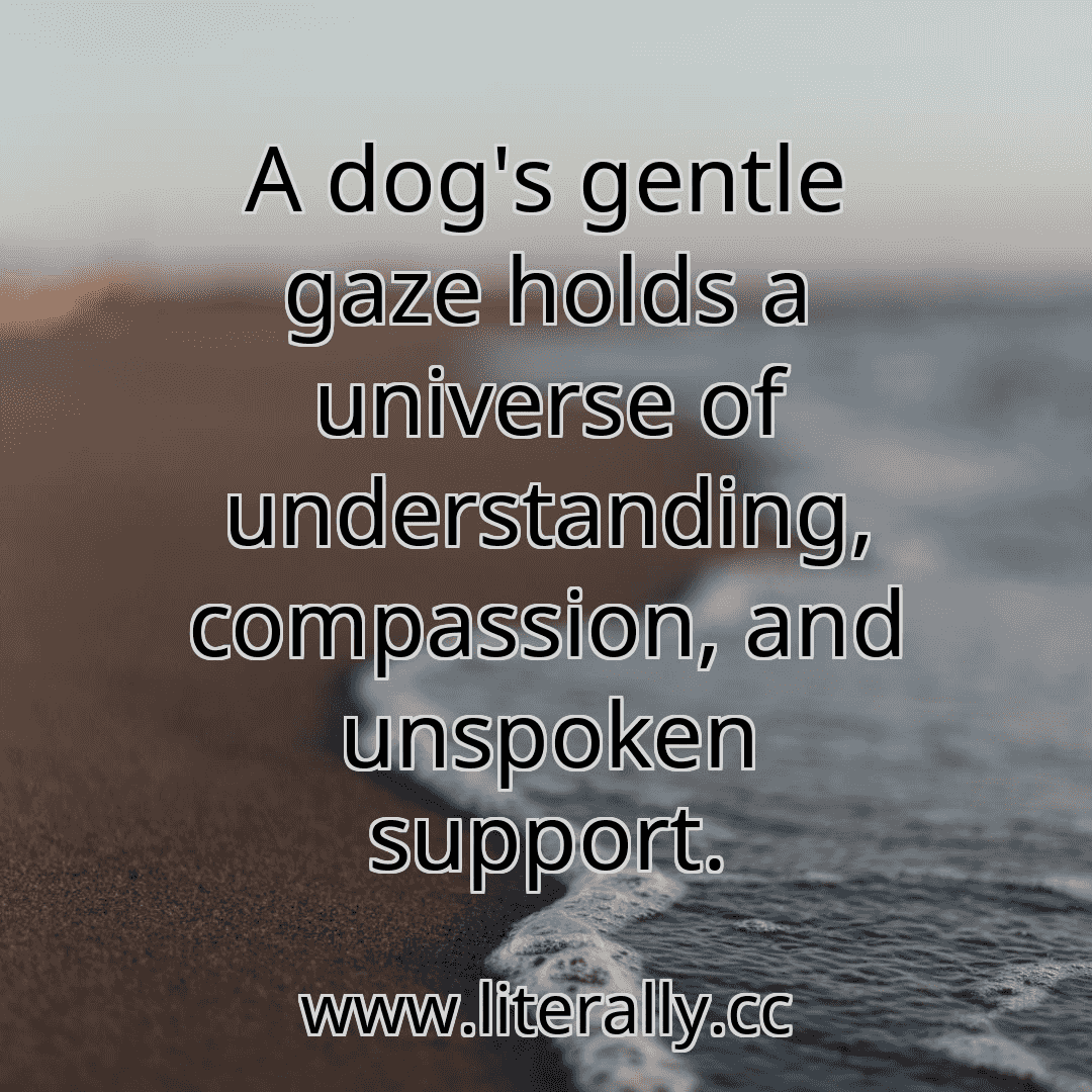 A dog's gentle gaze holds a universe of understanding, compassion, and unspoken support.
