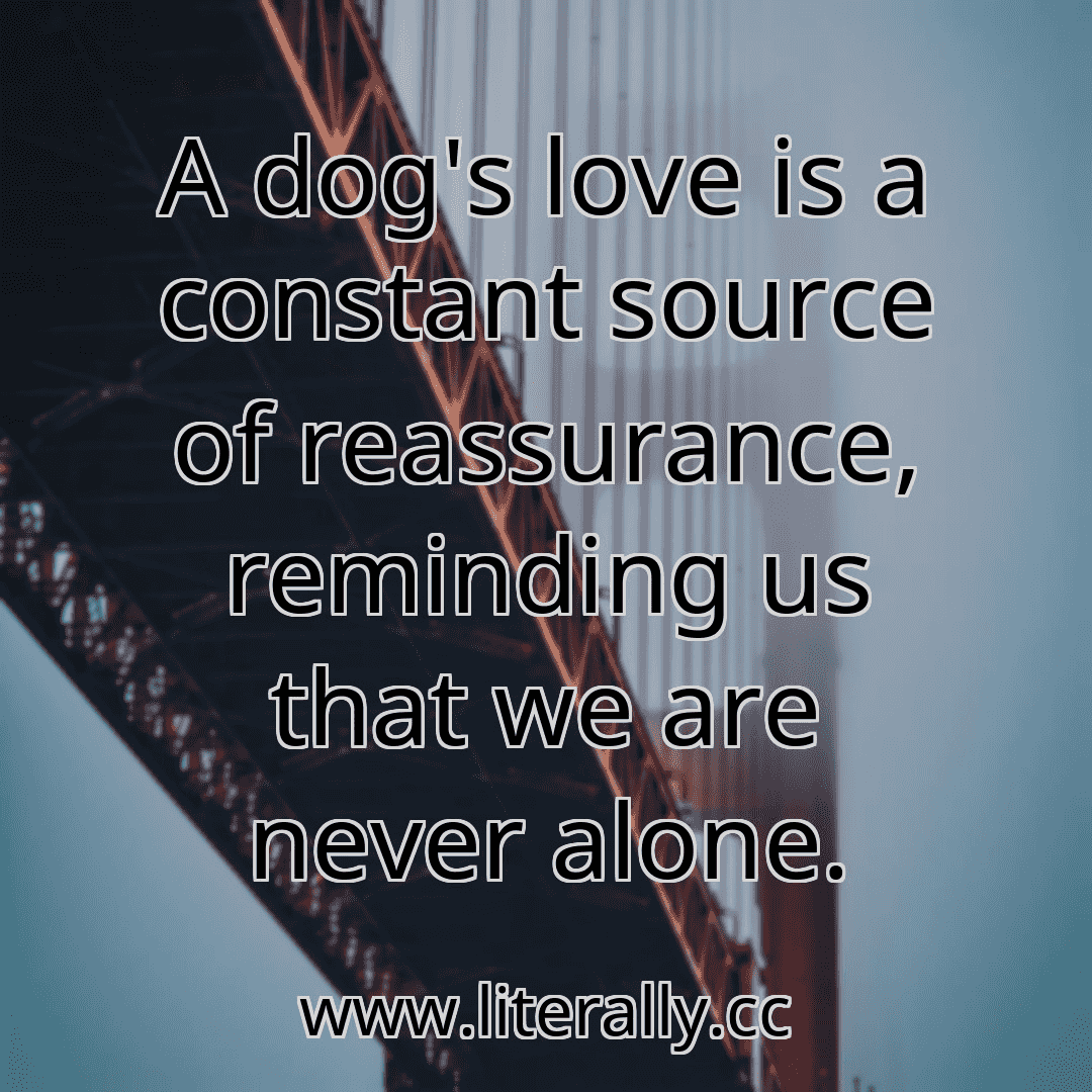 A dog's love is a constant source of reassurance, reminding us that we are never alone.
