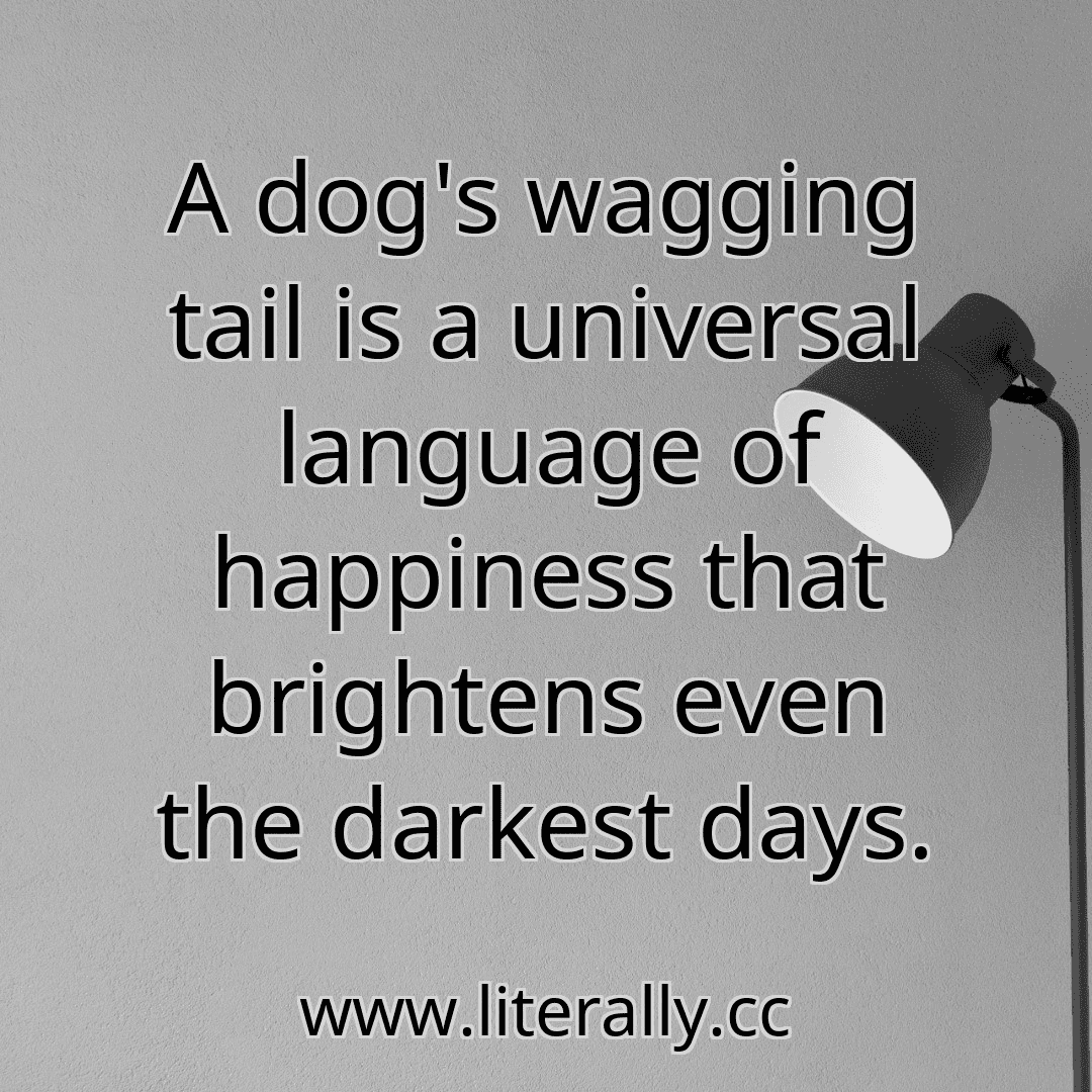 A dog's wagging tail is a universal language of happiness that brightens even the darkest days.
