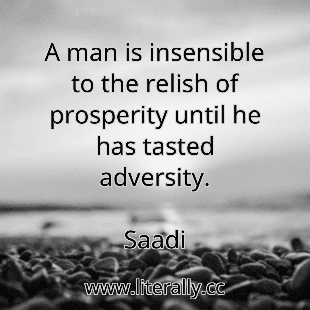 A man is insensible to the relish of prosperity until he has tasted adversity.
Saadi
