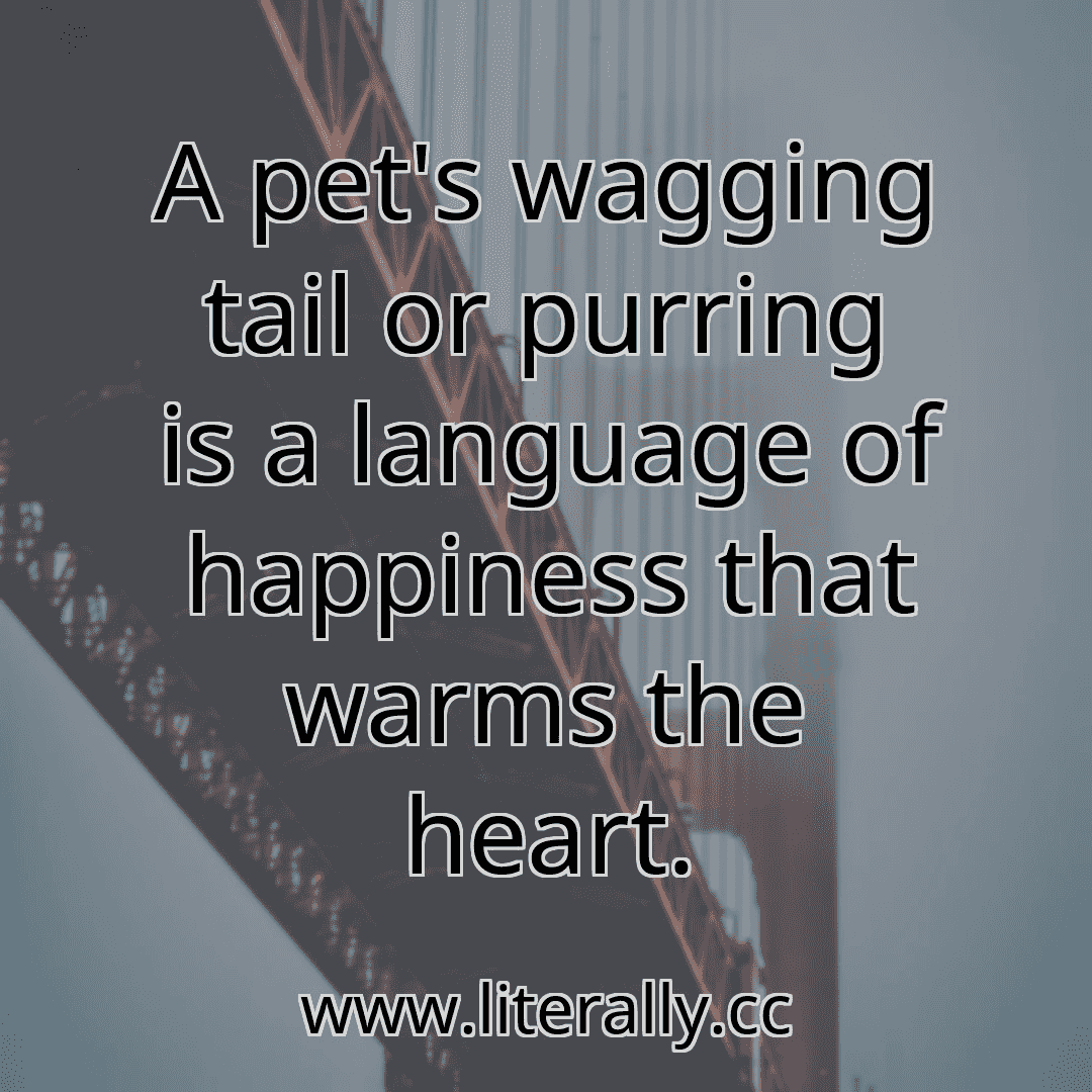 A pet's wagging tail or purring is a language of happiness that warms the heart.
