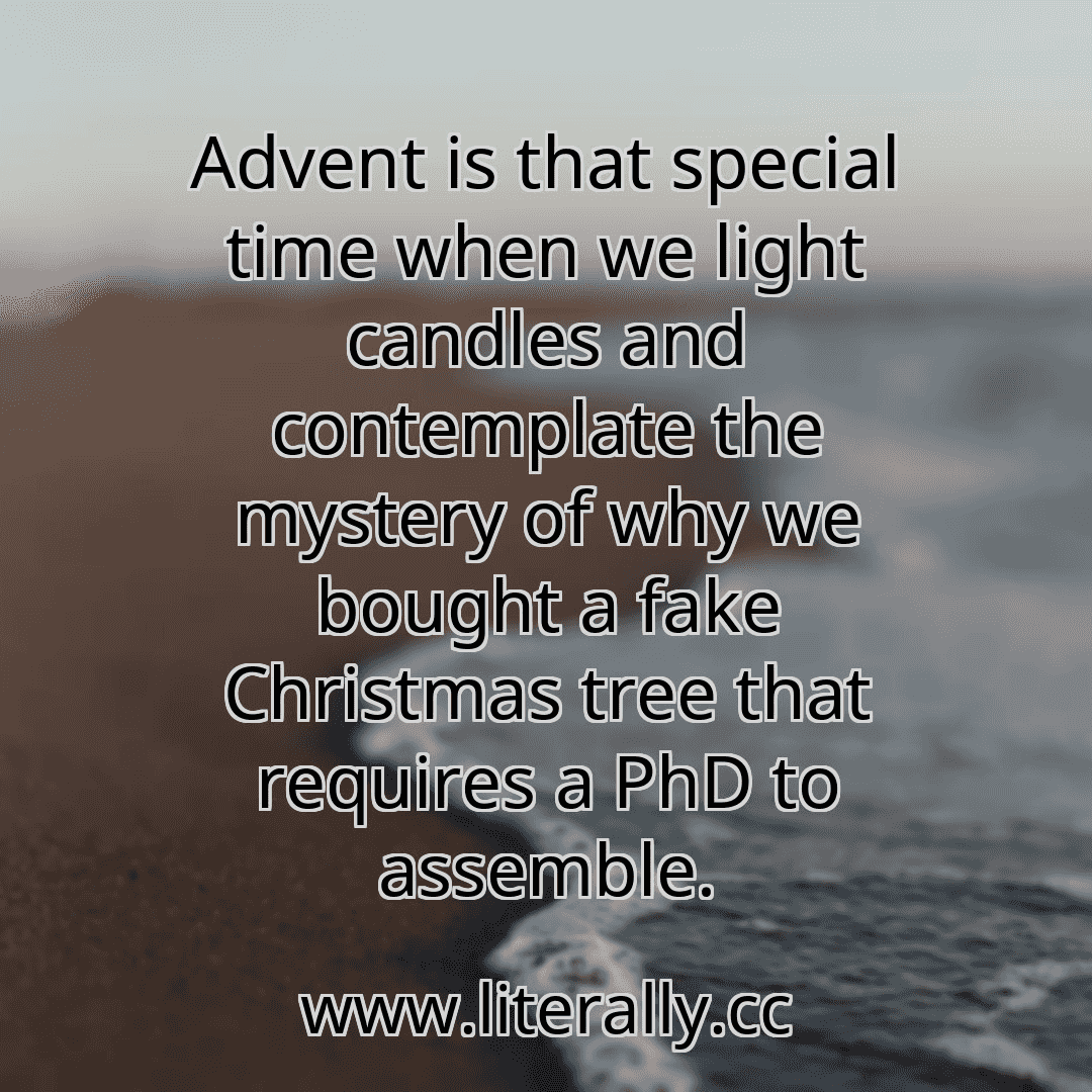 Advent is that special time when we light candles and contemplate the mystery of why we bought a fake Christmas tree that requires a PhD to assemble.
