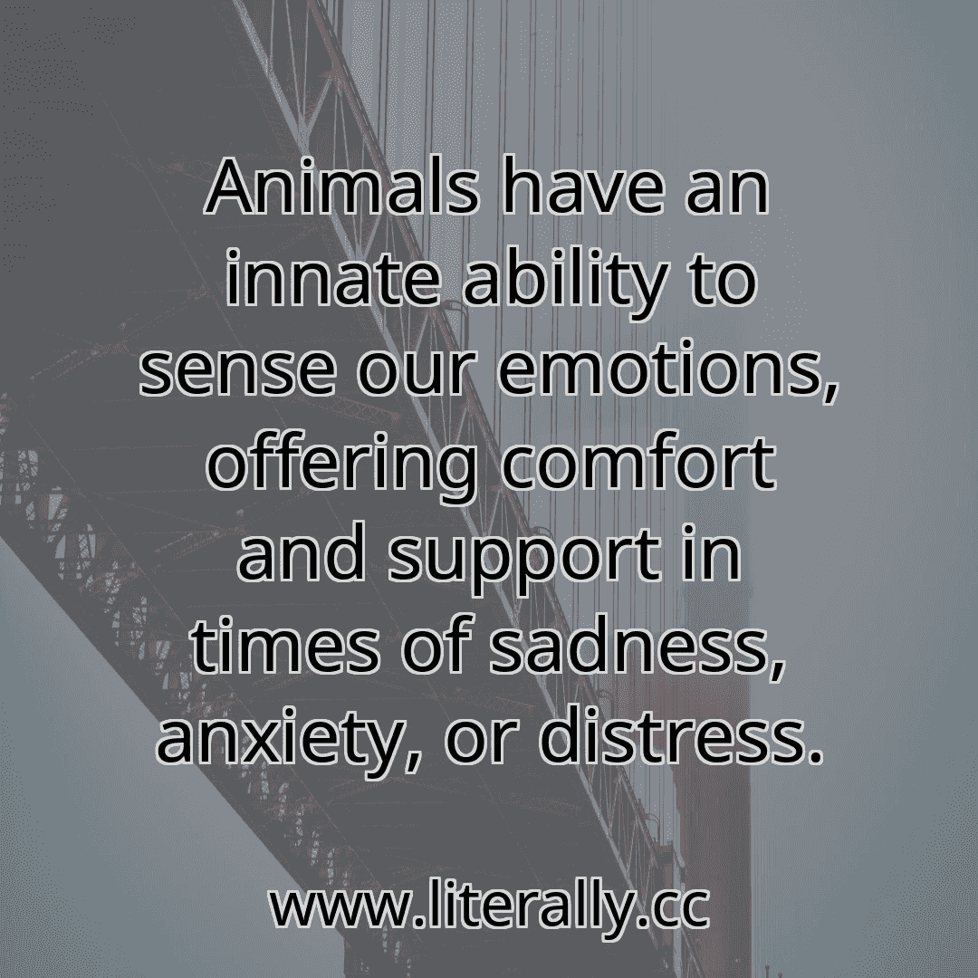 Animals have an innate ability to sense our emotions, offering comfort and support in times of sadness, anxiety, or distress.
