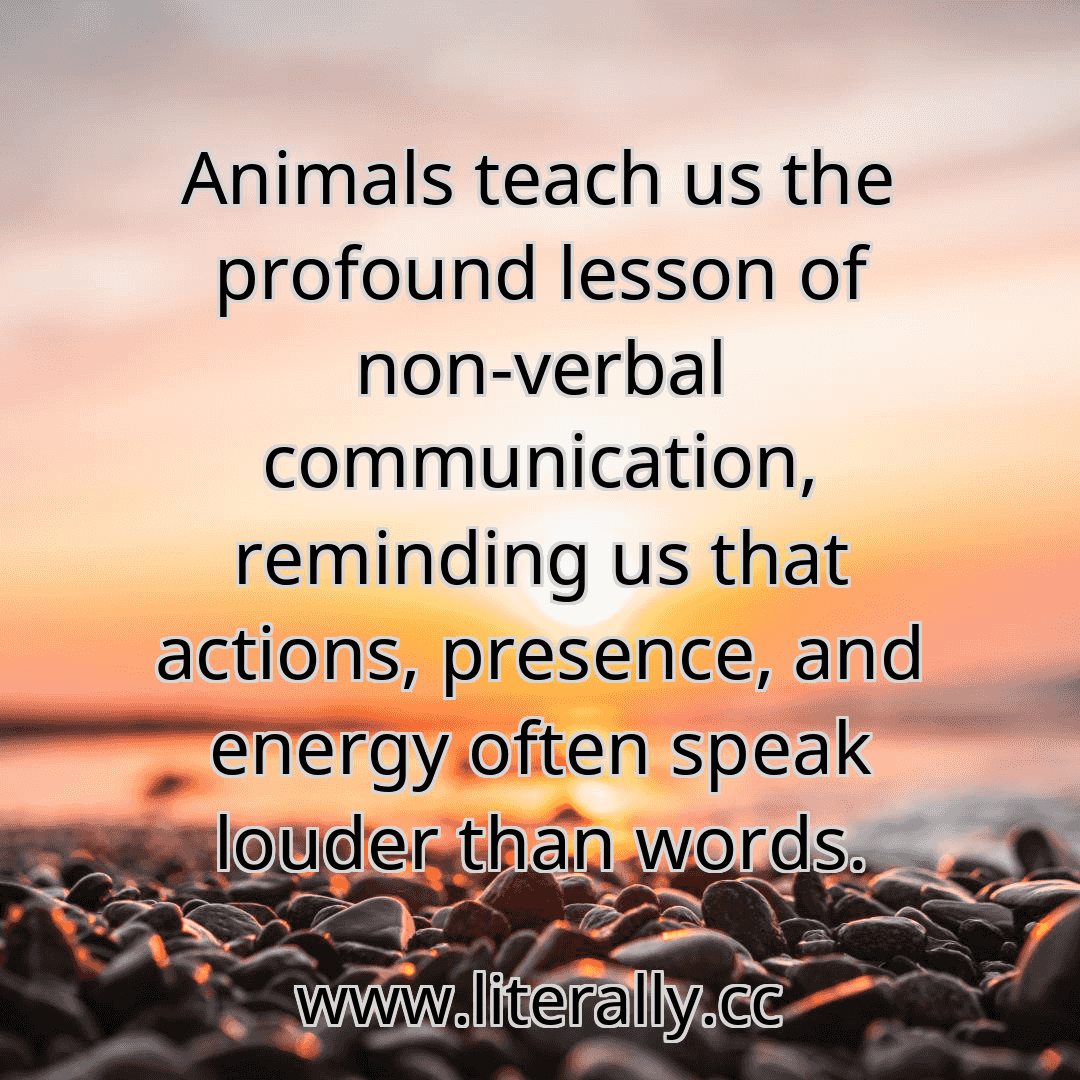 Animals teach us the profound lesson of non-verbal communication, reminding us that actions, presence, and energy often speak louder than words.
