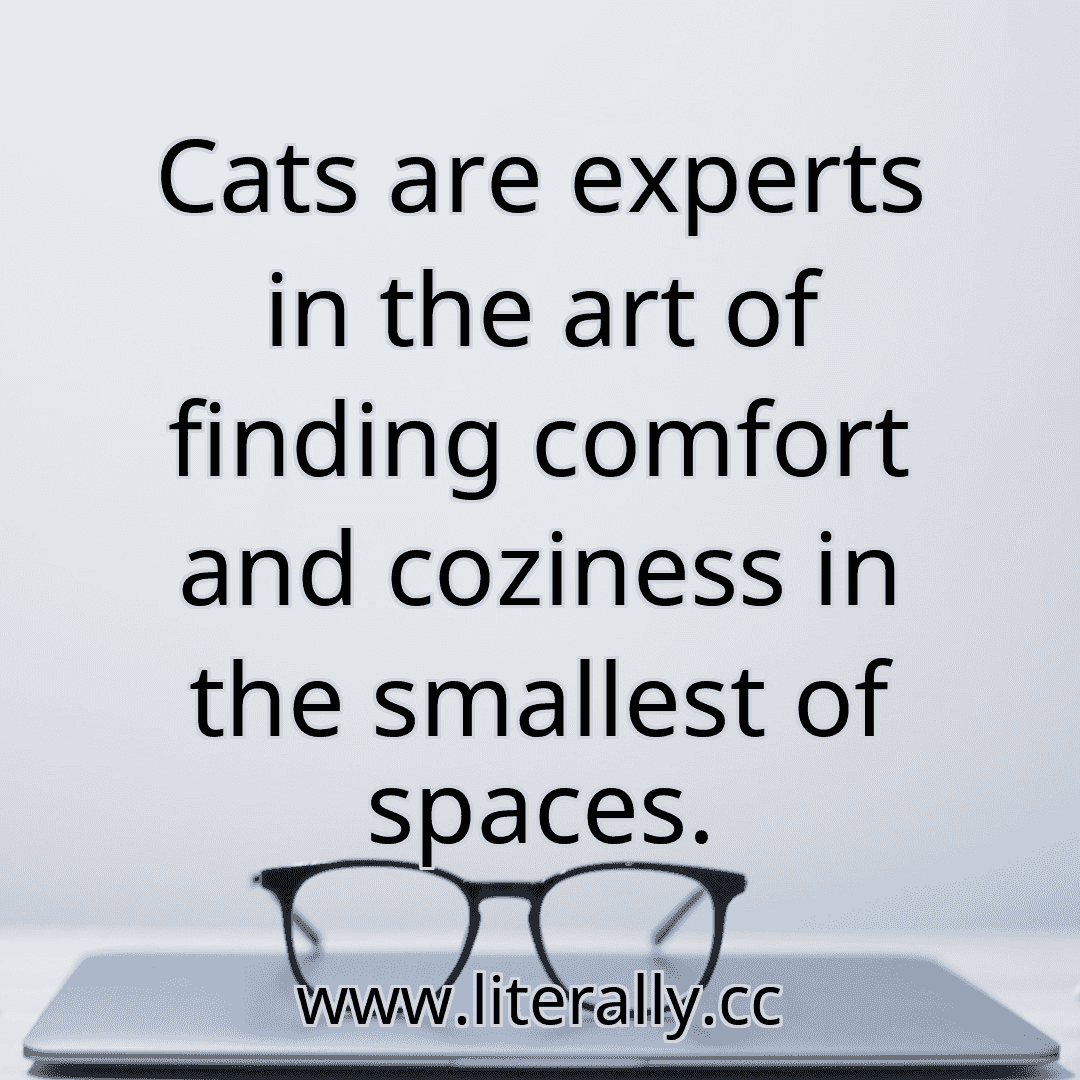 Cats are experts in the art of finding comfort and coziness in the smallest of spaces.
