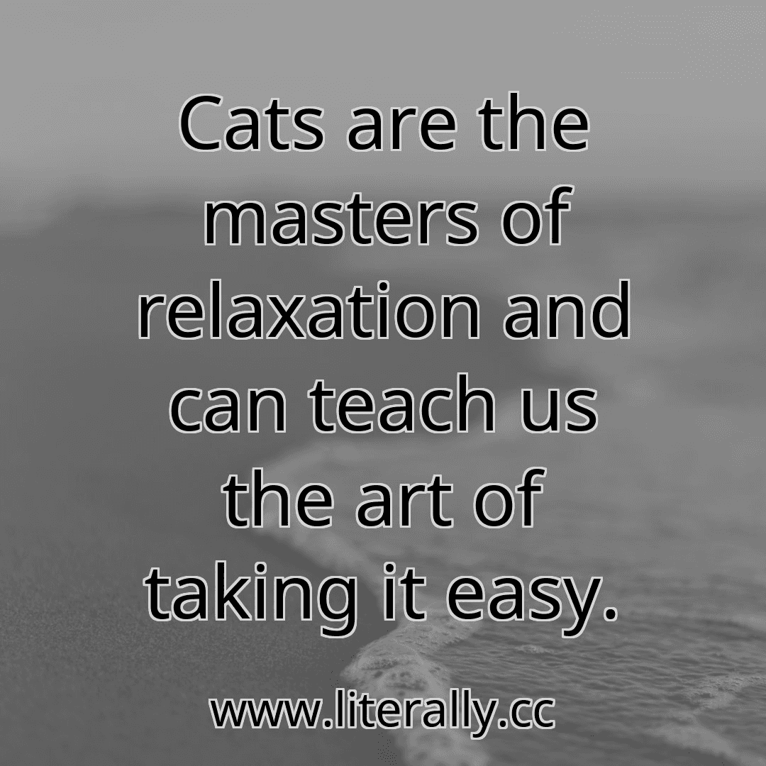 Cats are the masters of relaxation and can teach us the art of taking it easy.
