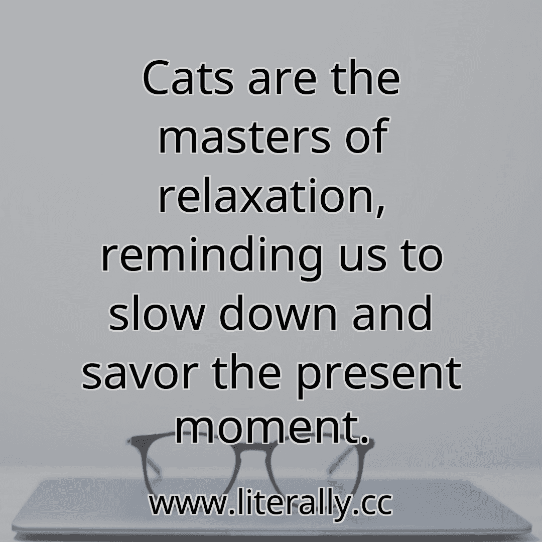 Cats are the masters of relaxation, reminding us to slow down and savor the present moment.

