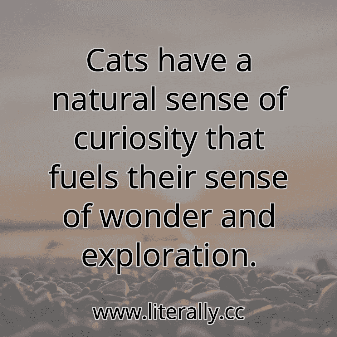 Cats have a natural sense of curiosity that fuels their sense of wonder and exploration.
