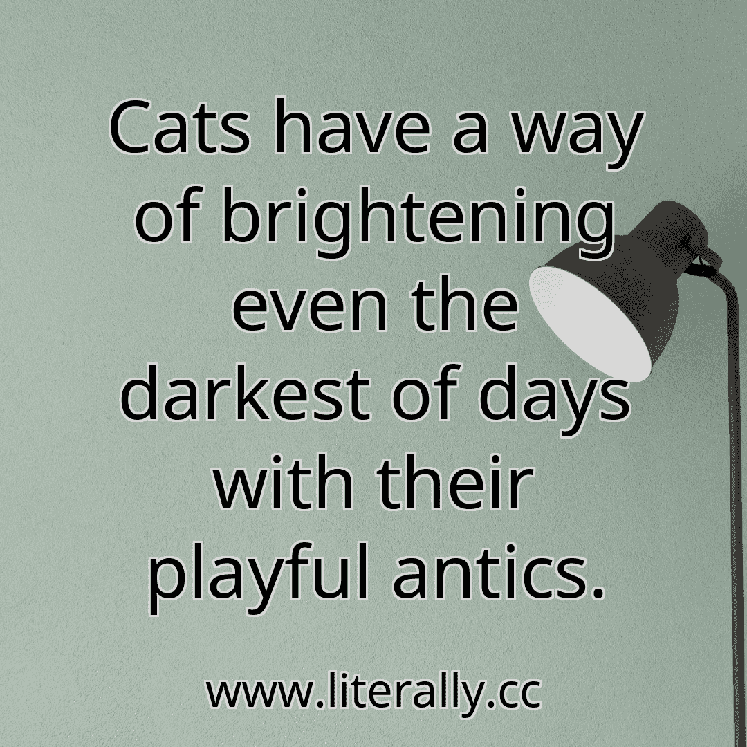 Cats have a way of brightening even the darkest of days with their playful antics.
