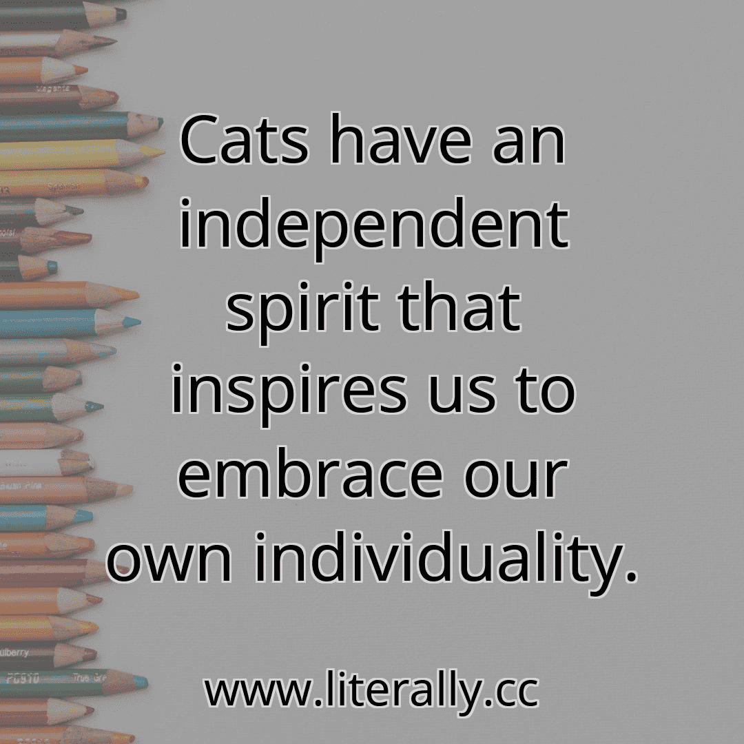 Cats have an independent spirit that inspires us to embrace our own individuality.
