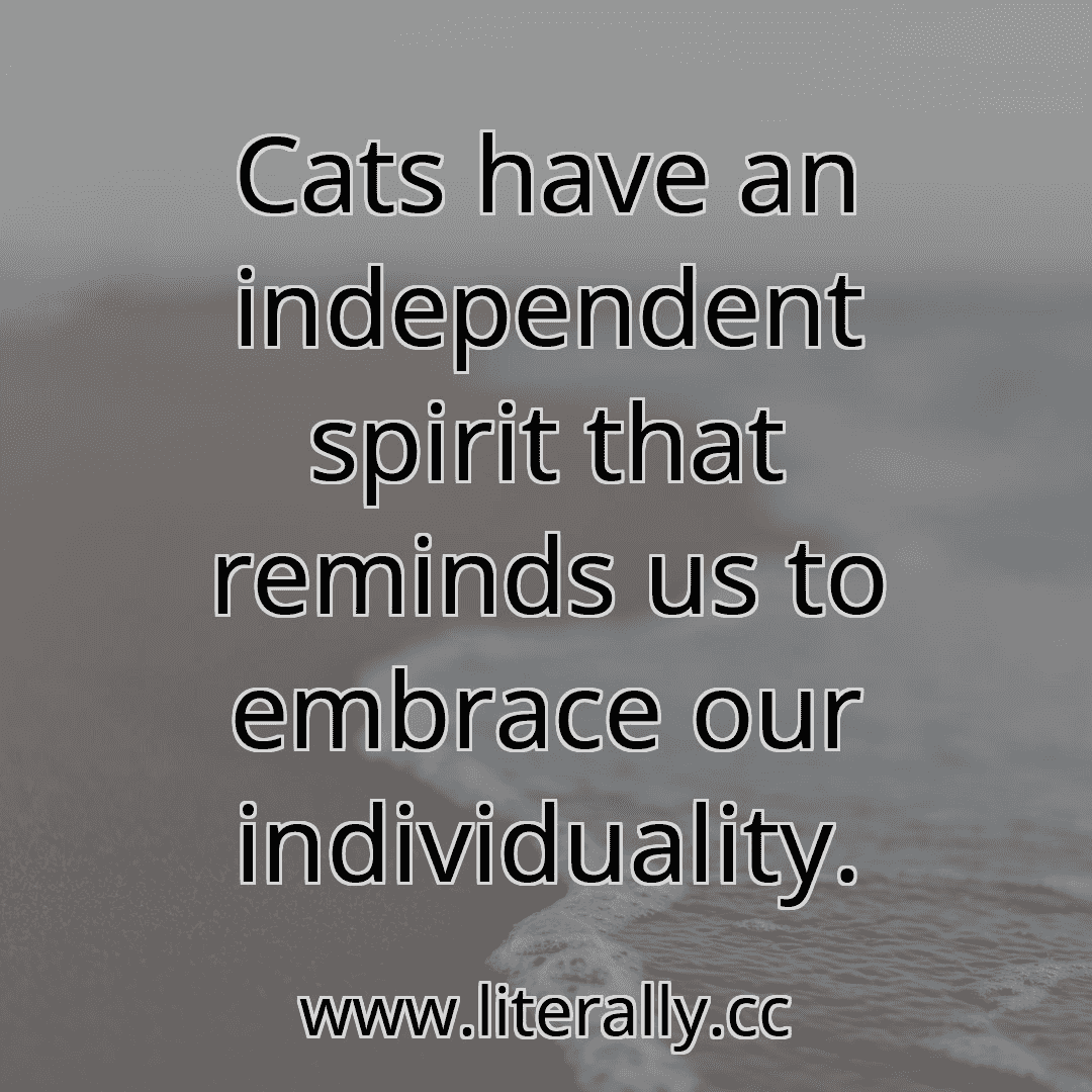 Cats have an independent spirit that reminds us to embrace our individuality.
