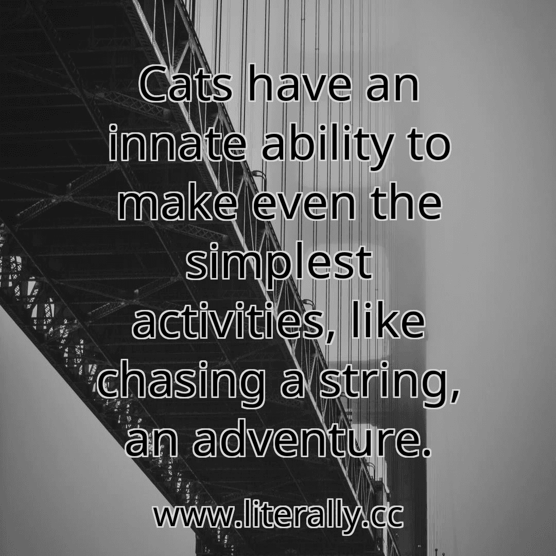 Cats have an innate ability to make even the simplest activities, like chasing a string, an adventure.
