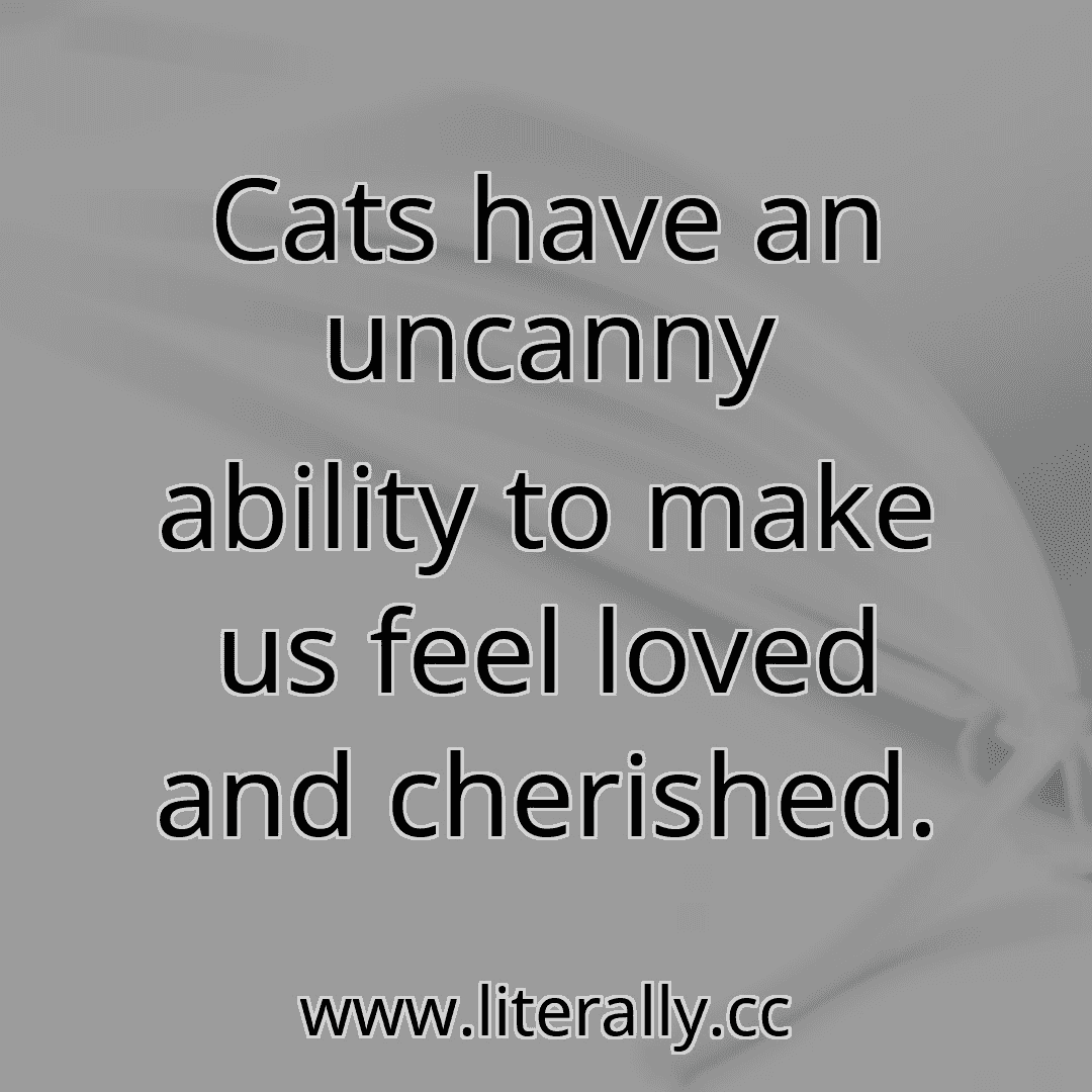 Cats have an uncanny ability to make us feel loved and cherished.
