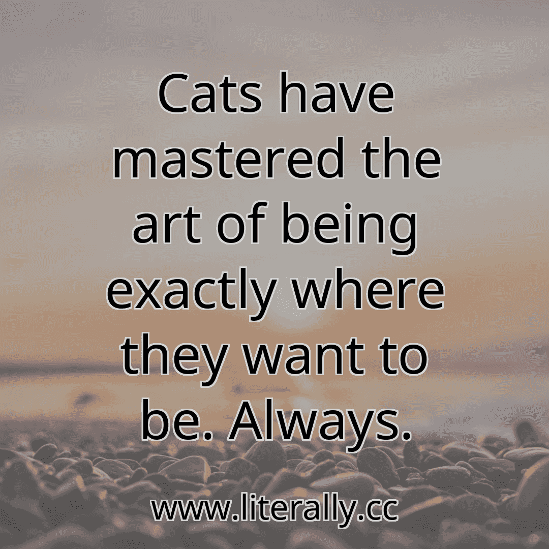 Cats have mastered the art of being exactly where they want to be. Always.
