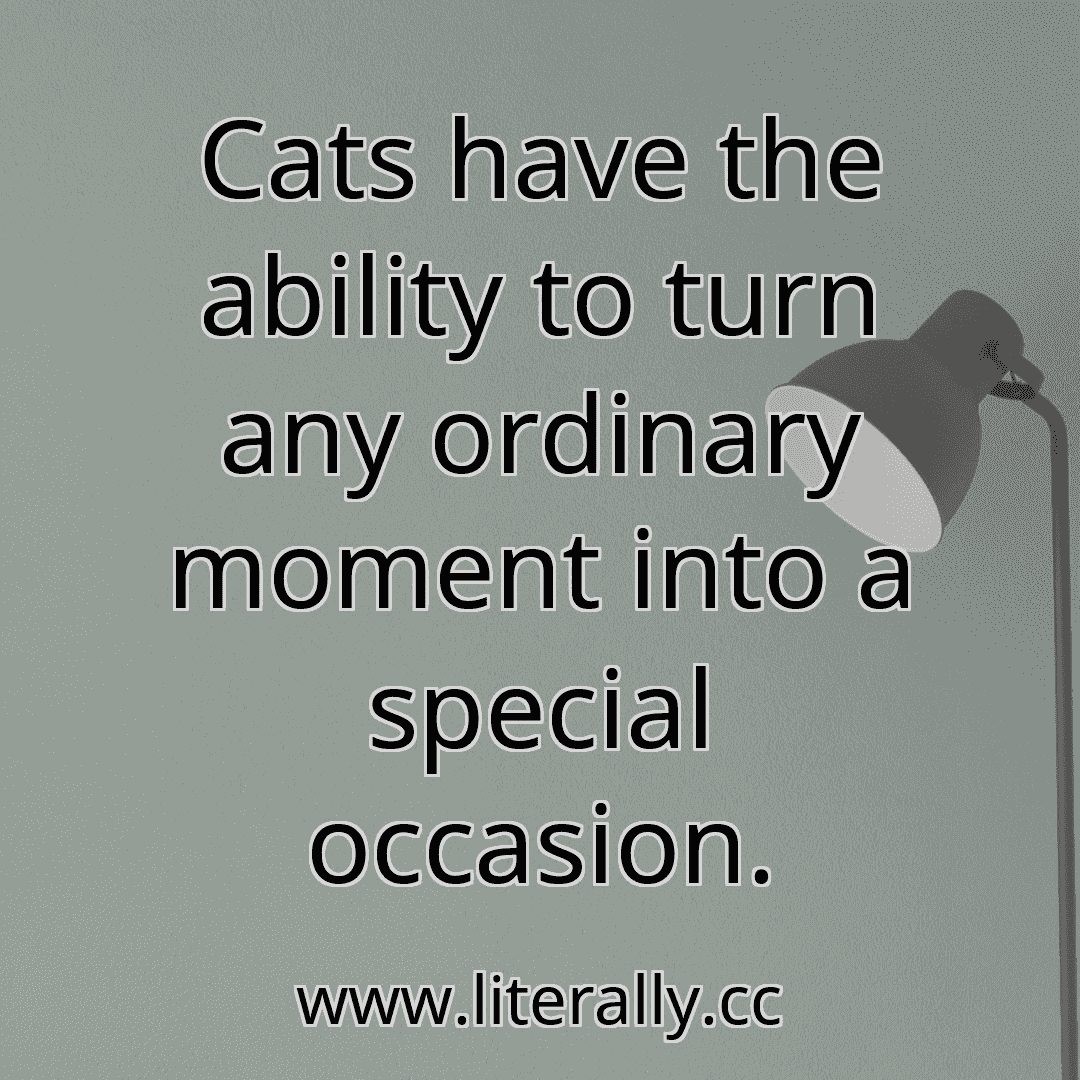 Cats have the ability to turn any ordinary moment into a special occasion.
