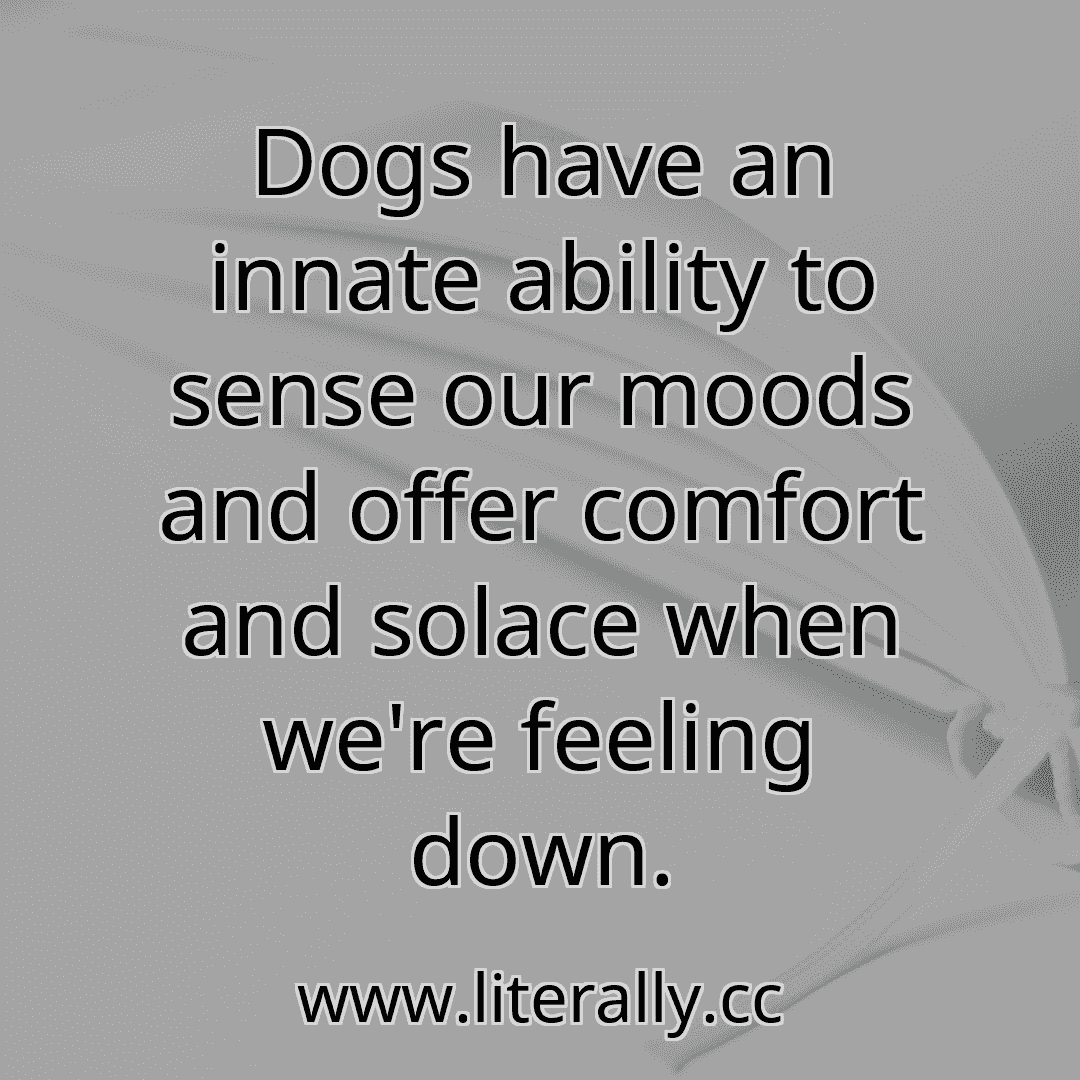 Dogs have an innate ability to sense our moods and offer comfort and solace when we're feeling down.

