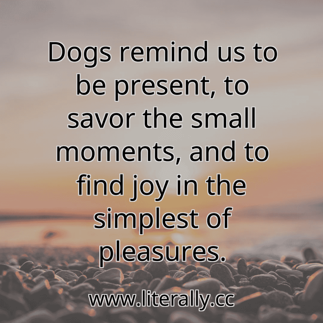 Dogs remind us to be present, to savor the small moments, and to find joy in the simplest of pleasures.
