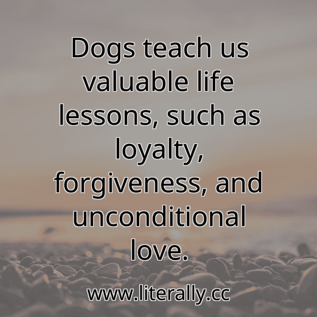 Dogs teach us valuable life lessons, such as loyalty, forgiveness, and unconditional love.
