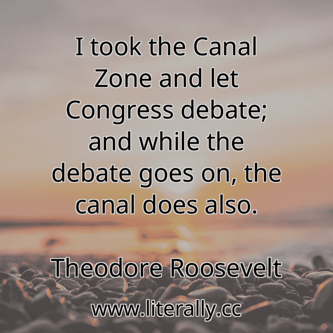 I took the Canal Zone and let Congress debate; and while the debate goes on, the canal does also.
Theodore Roosevelt
