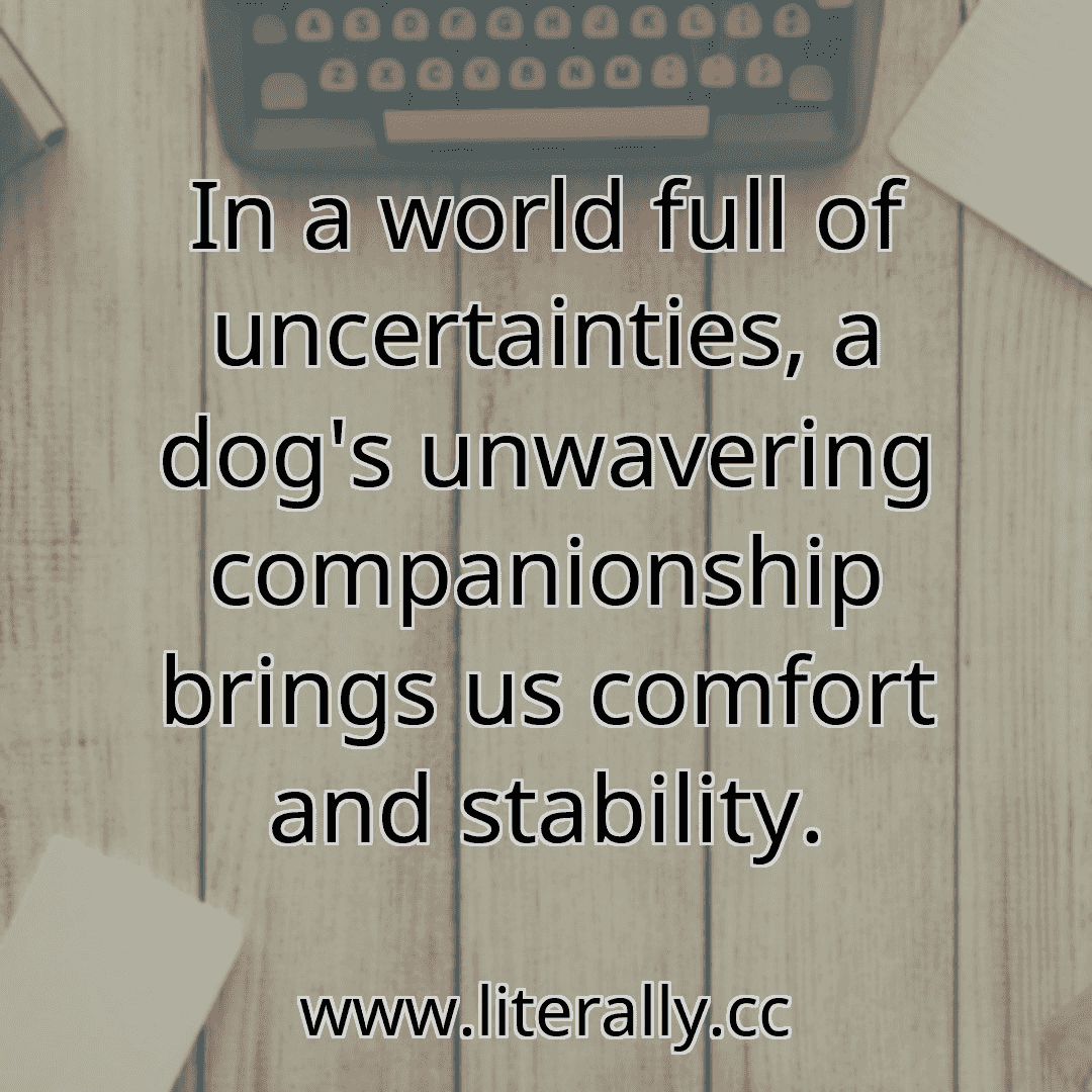 In a world full of uncertainties, a dog's unwavering companionship brings us comfort and stability.
