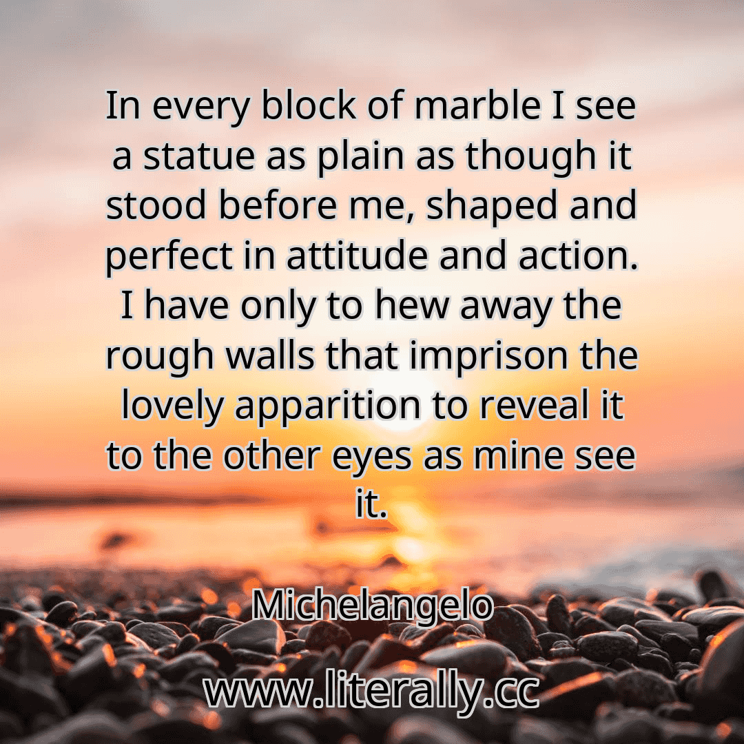 In every block of marble I see a statue as plain as though it stood before me, shaped and perfect in attitude and action. I have only to hew away the rough walls that imprison the lovely apparition to reveal it to the other eyes as mine see it.
Michelangelo
