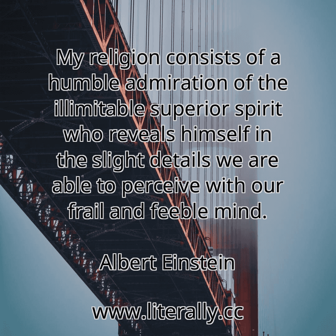 My religion consists of a humble admiration of the illimitable superior spirit who reveals himself in the slight details we are able to perceive with our frail and feeble mind.
Albert Einstein
