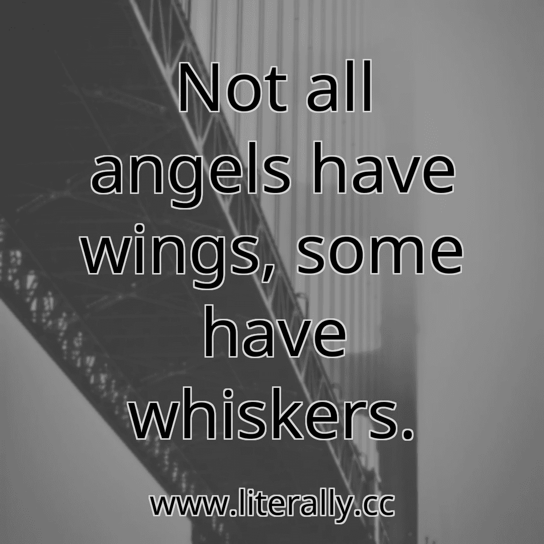 Not all angels have wings, some have whiskers.
