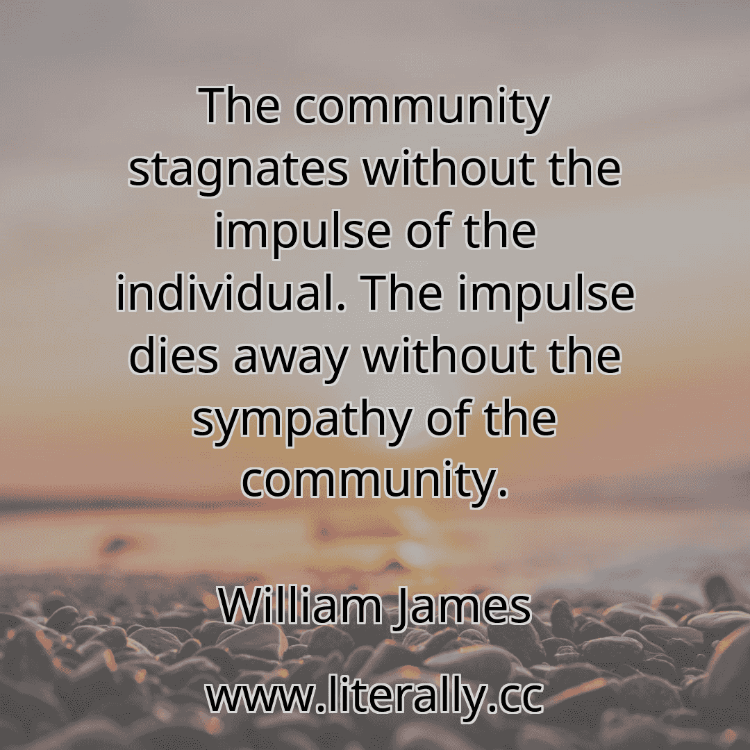 The community stagnates without the impulse of the individual. The impulse dies away without the sympathy of the community.
William James
