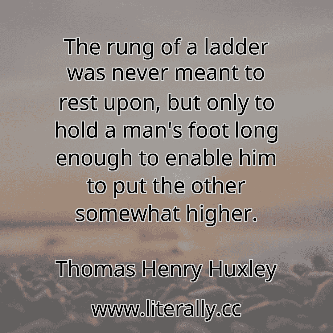 The rung of a ladder was never meant to rest upon, but only to hold a man's foot long enough to enable him to put the other somewhat higher.
Thomas Henry Huxley
