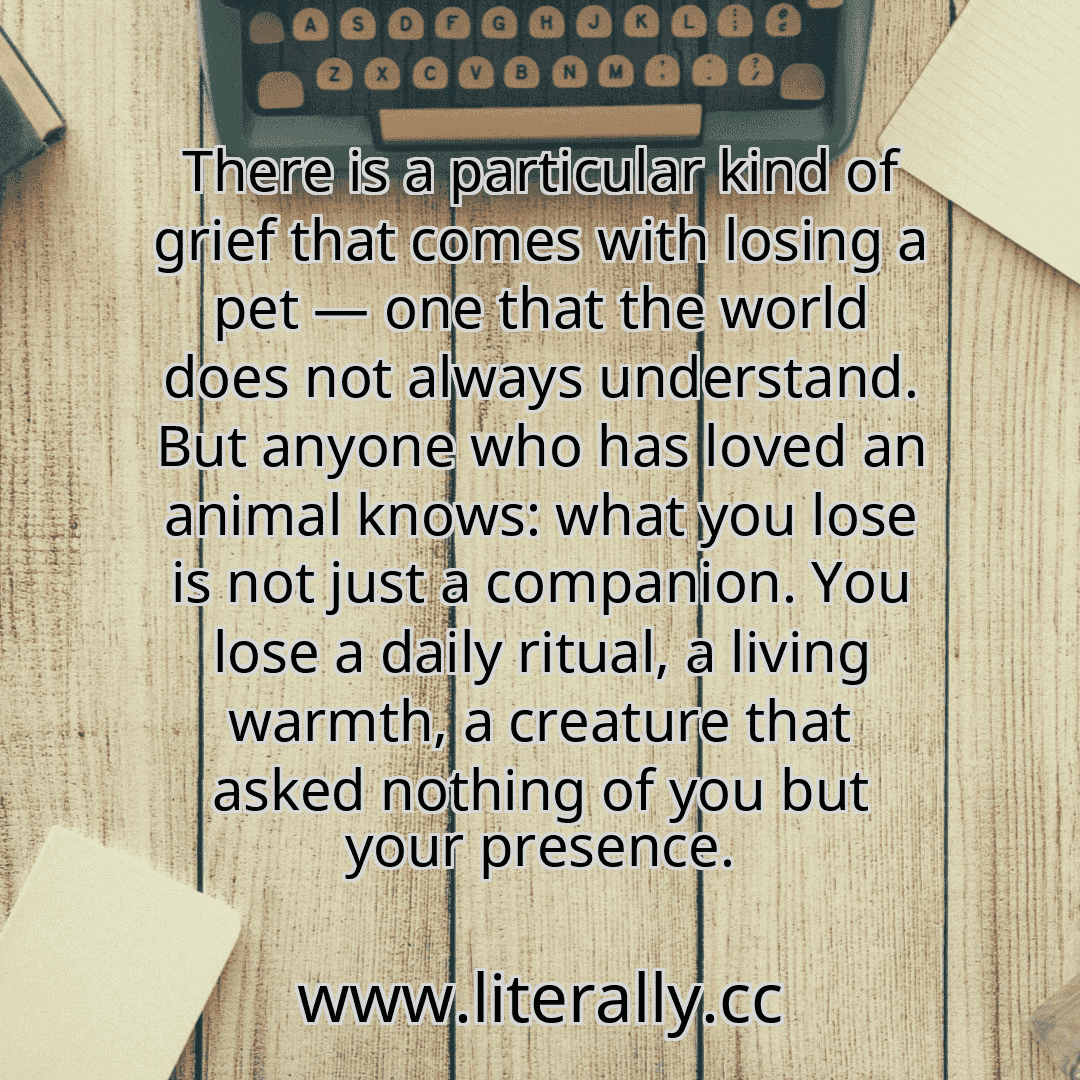 There is a particular kind of grief that comes with losing a pet — one that the world does not always understand. But anyone who has loved an animal knows: what you lose is not just a companion. You lose a daily ritual, a living warmth, a creature that asked nothing of you but your presence.
