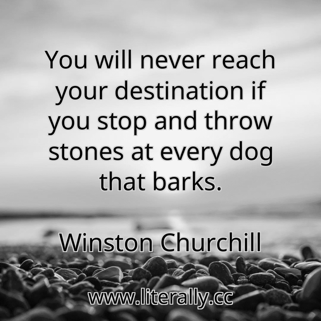 You will never reach your destination if you stop and throw stones at every dog that barks.
Winston Churchill

