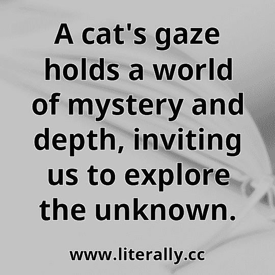 A cat's gaze holds a world of mystery and depth, inviting us to explore the unknown.
