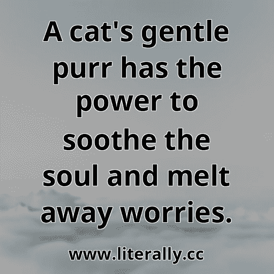 A cat's gentle purr has the power to soothe the soul and melt away worries.
