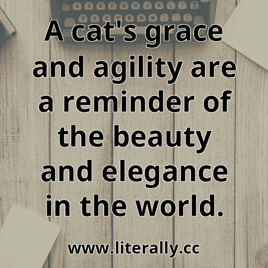 A cat's grace and agility are a reminder of the beauty and elegance in the world.
