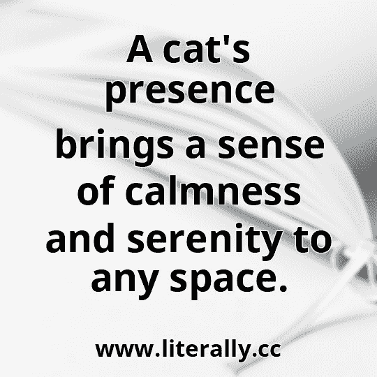 A cat's presence brings a sense of calmness and serenity to any space.
