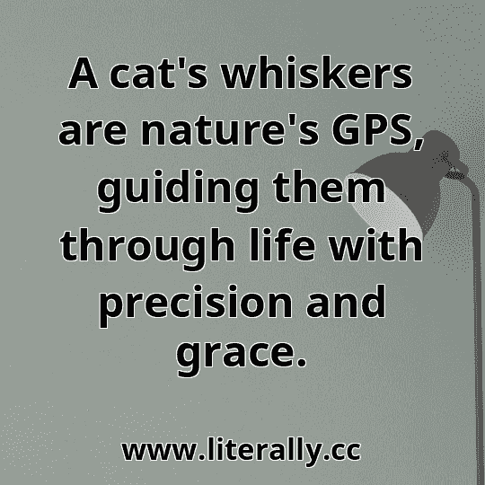 A cat's whiskers are nature's GPS, guiding them through life with precision and grace.
