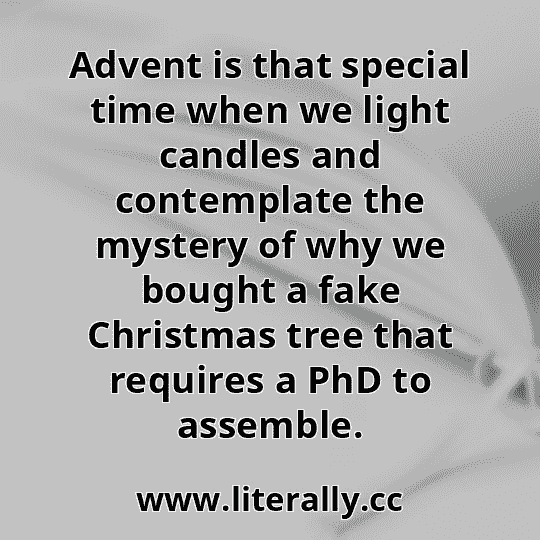 Advent is that special time when we light candles and contemplate the mystery of why we bought a fake Christmas tree that requires a PhD to assemble.
