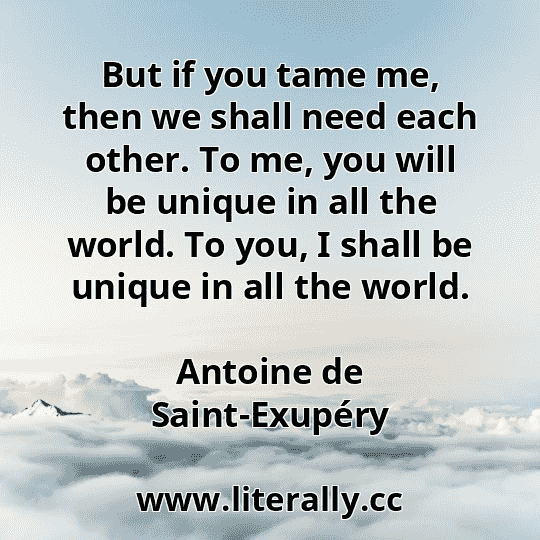 But if you tame me, then we shall need each other. To me, you will be unique in all the world. To you, I shall be unique in all the world.
Antoine de Saint-Exupéry
