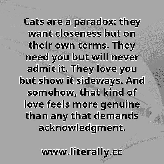 Cats are a paradox: they want closeness but on their own terms. They need you but will never admit it. They love you but show it sideways. And somehow, that kind of love feels more genuine than any that demands acknowledgment.
