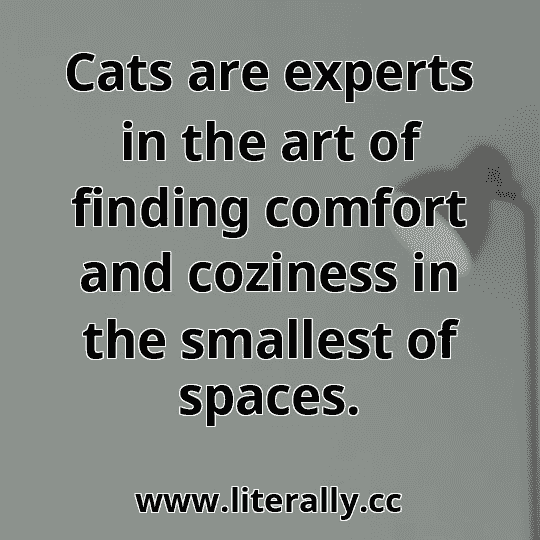 Cats are experts in the art of finding comfort and coziness in the smallest of spaces.
