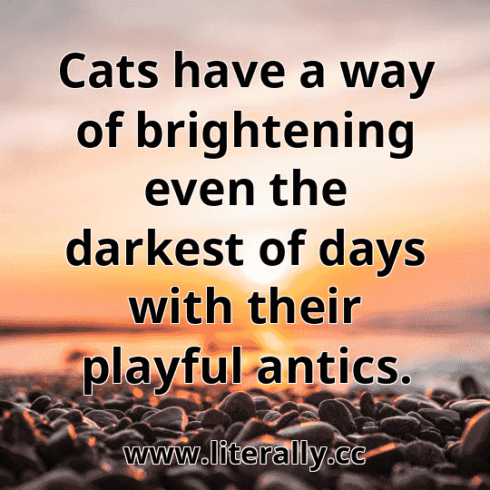 Cats have a way of brightening even the darkest of days with their playful antics.
