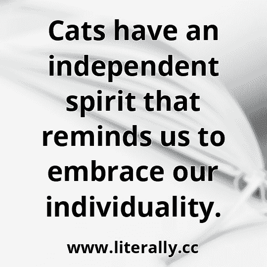 Cats have an independent spirit that reminds us to embrace our individuality.
