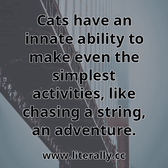 Cats have an innate ability to make even the simplest activities, like chasing a string, an adventure.
