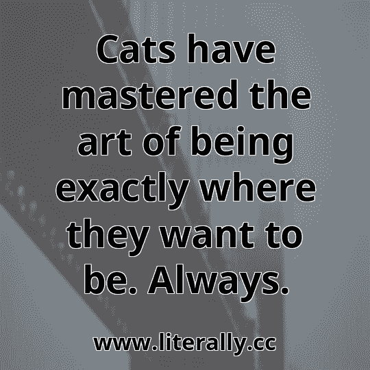 Cats have mastered the art of being exactly where they want to be. Always.
