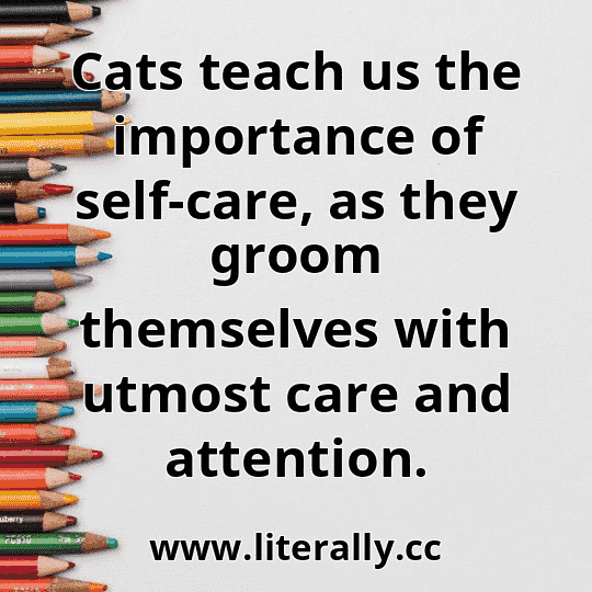 Cats teach us the importance of self-care, as they groom themselves with utmost care and attention.
